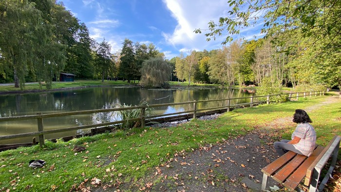 Weiher in Asbach