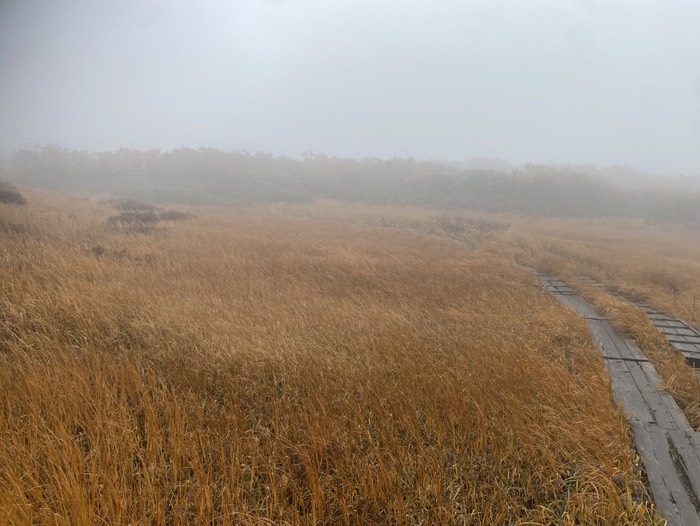 月山弥陀ヶ原①