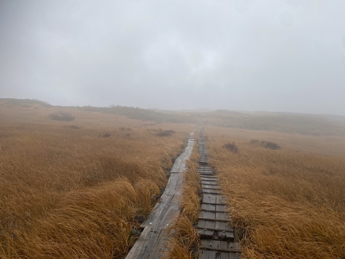 月山弥陀ヶ原③