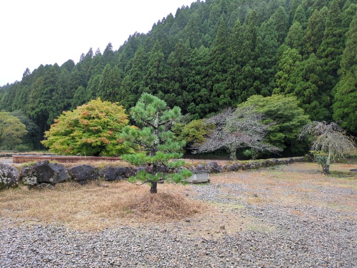 一乗谷 復元町並 庭