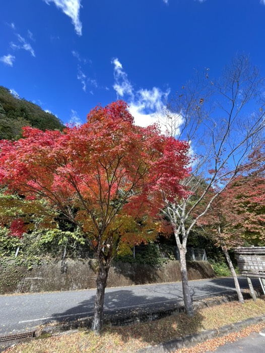 深谷大橋手前の🅿️