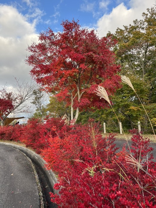 深入山に寄り道