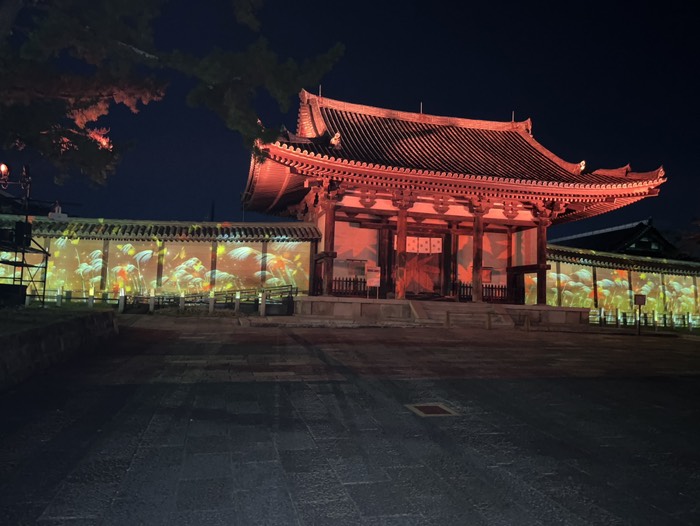 プロジェクションマッピングススキB r