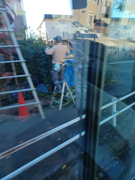 ⑤ファミリーマート