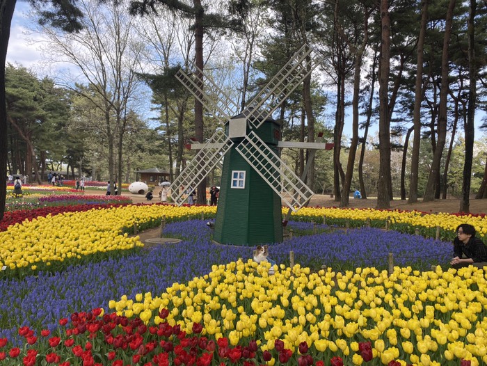 ひたち海浜公園①