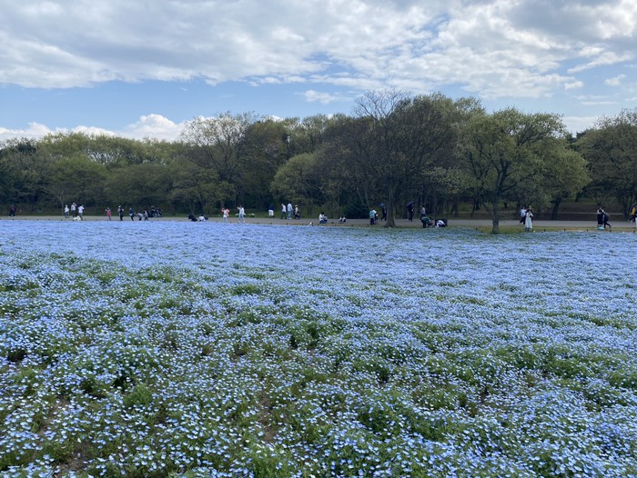 ひたち海浜公園⑥