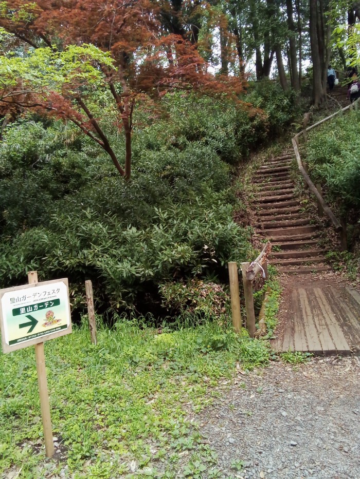 階段を上ります！