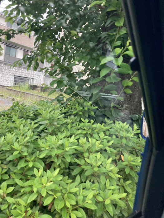 東玉川学園四丁目