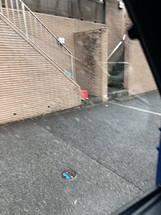 クリの家保育園先