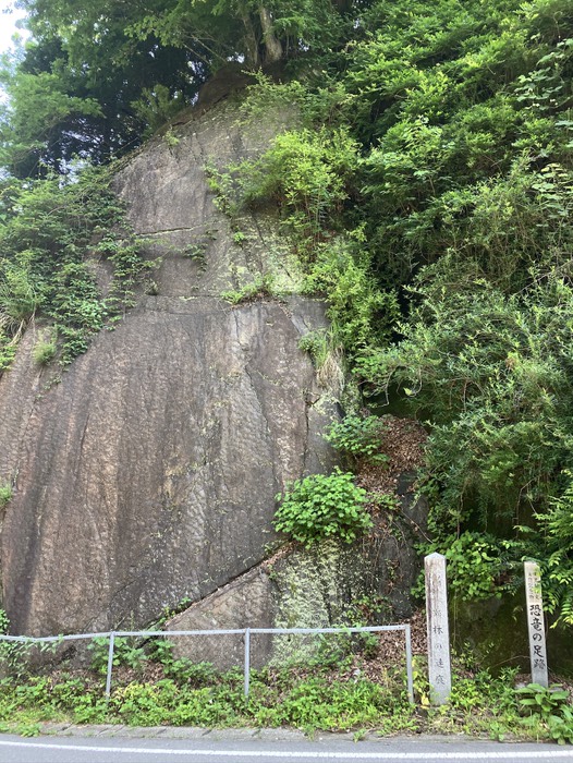 恐竜の足跡