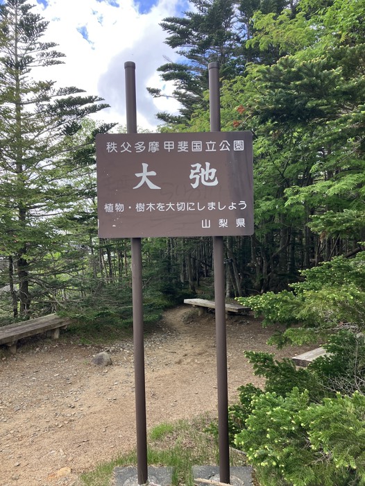 大弛
