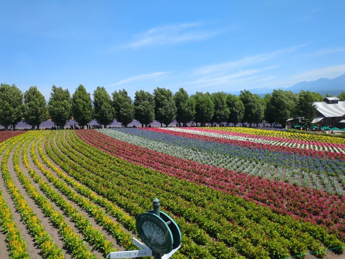 ファーム富田