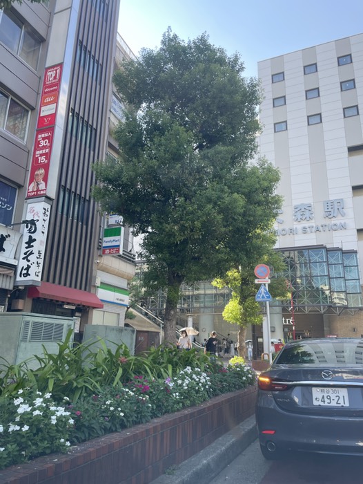 3.大森駅　降ろし