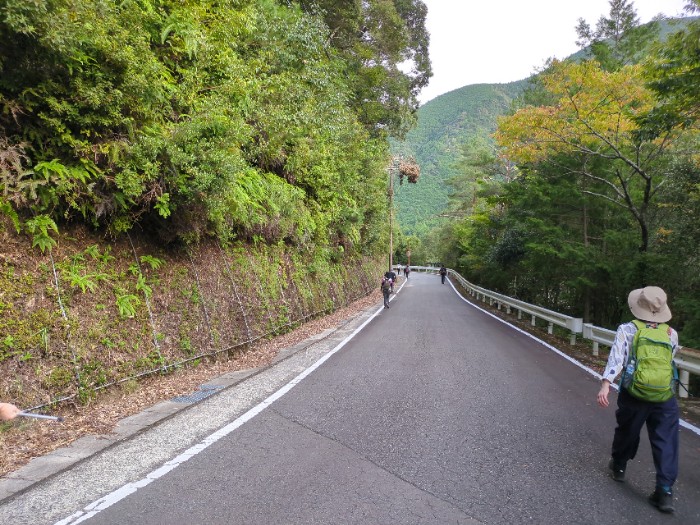 舗装道へ出た
