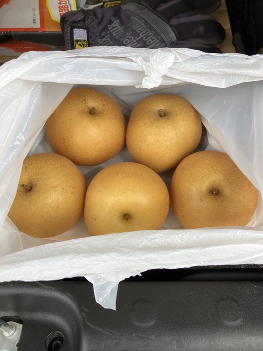 豊水(¥60/個)