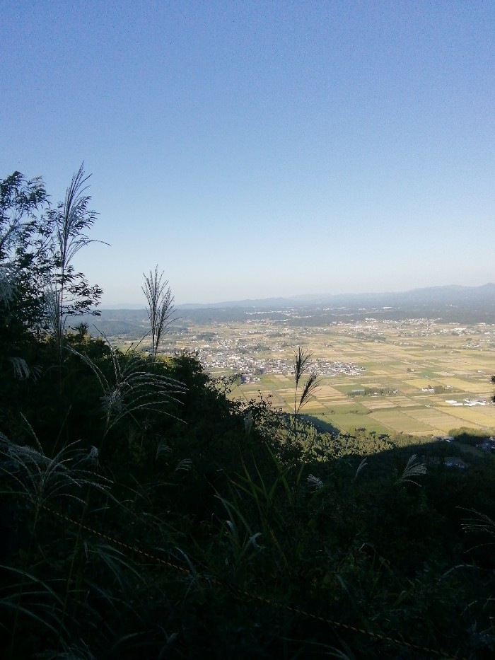 ええ