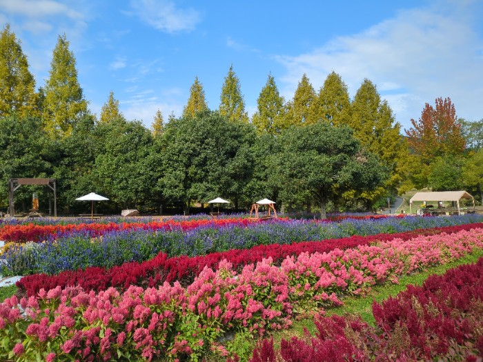 世羅高原農場