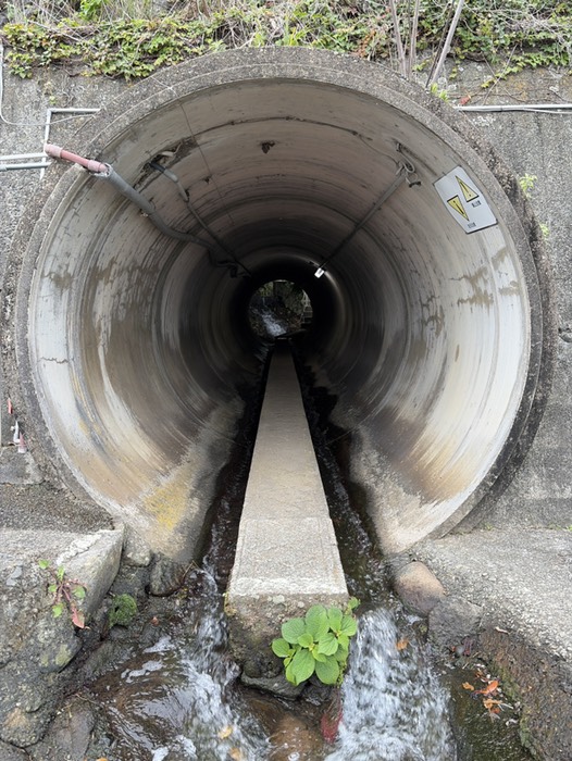 駐車場への近道