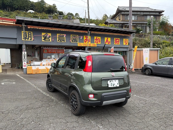 自宅にみかん買います