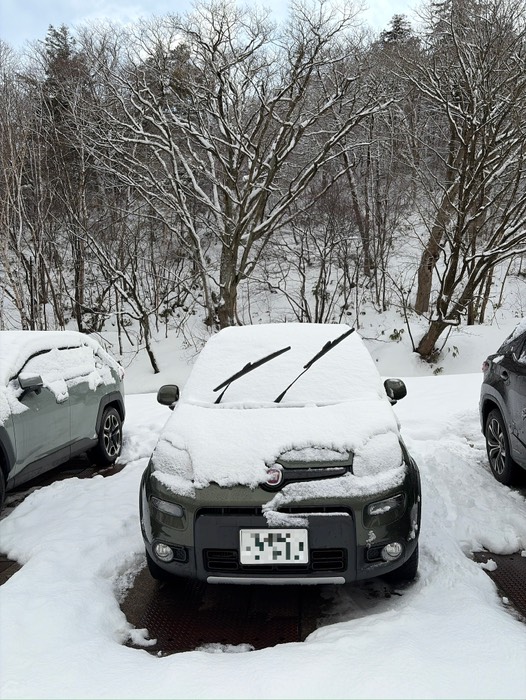 雪おろさないと