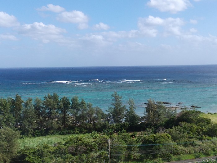 奄美パーク 展望台