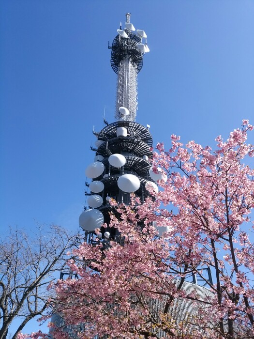 デジタル放送テレビ塔