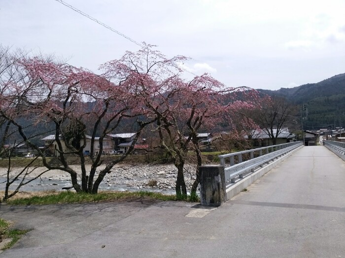 渡瀬橋
