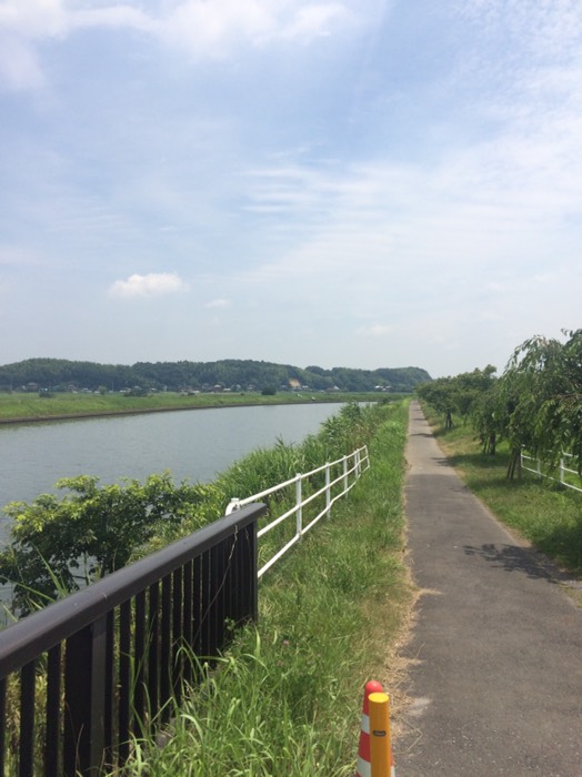 印旛放水路沿いのサイクリングロード