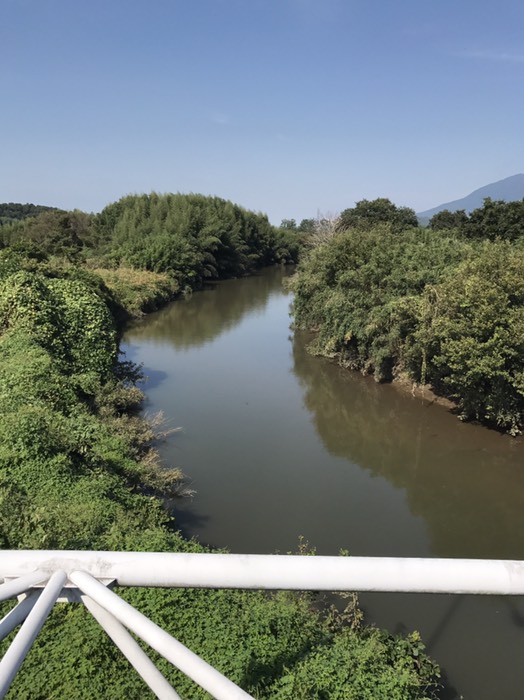 太田橋から桜川