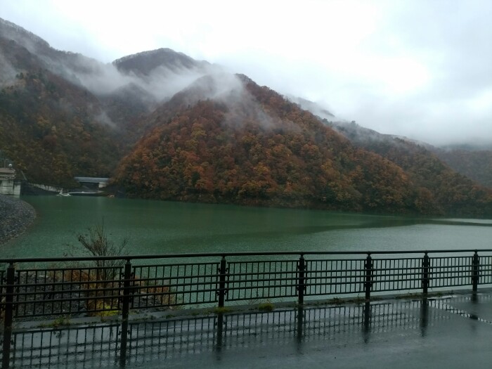 徳山ダム湖