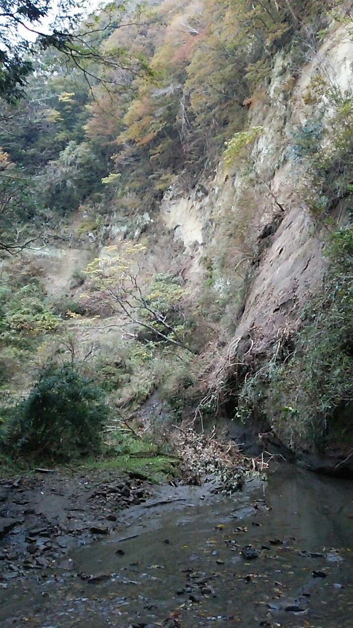 梅ヶ瀬渓谷