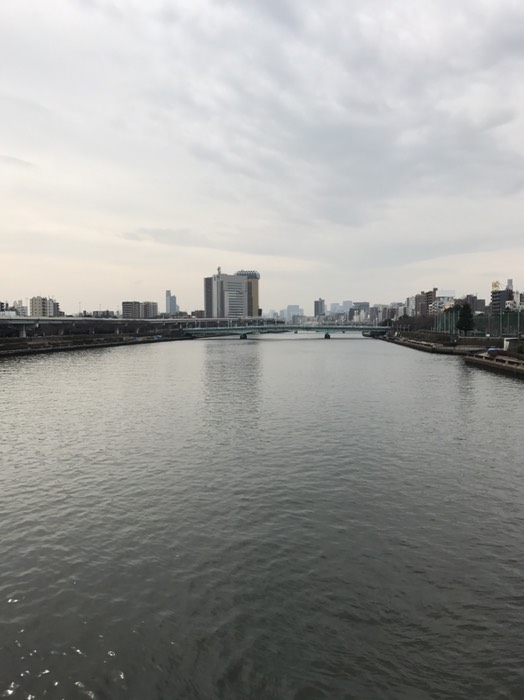 隅田川(桜橋から)