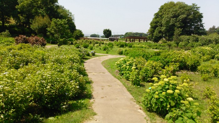 荻窪公園
