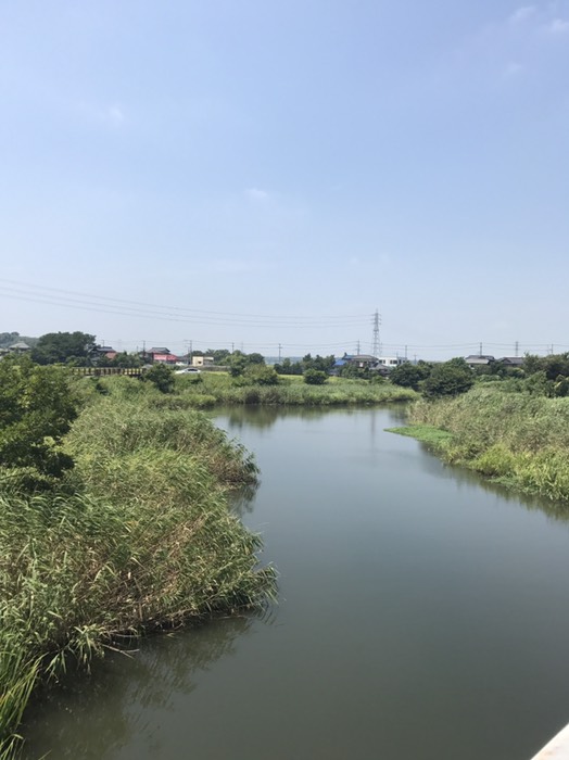 亀成川(水神橋から)