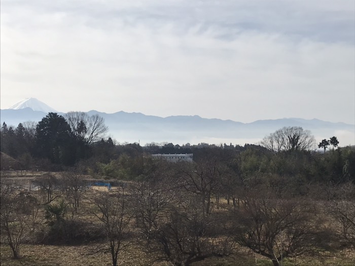 霧の甲府盆地と富士山