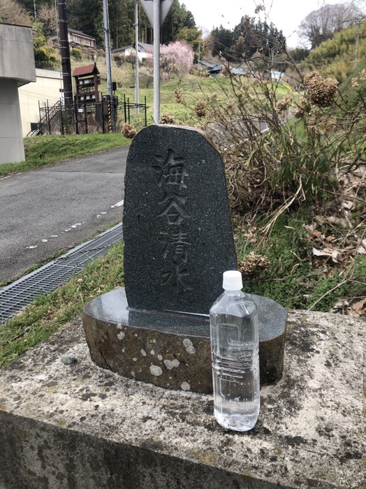 新殿神社の岩桜のお向かいの湧き水