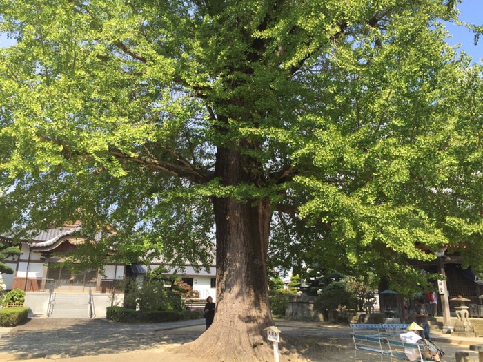 第5番 地蔵寺