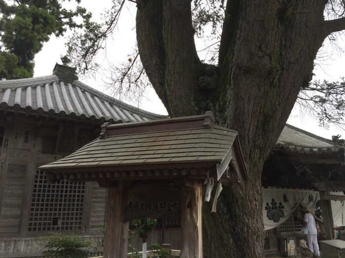あららぎ大使🌲
