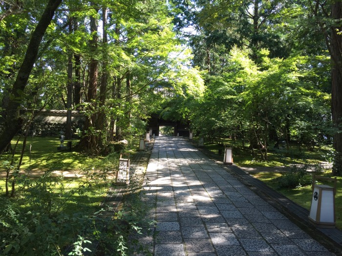 第31番 竹林寺 ❤️今日のスタート