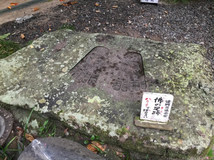 第46番 浄瑠璃寺