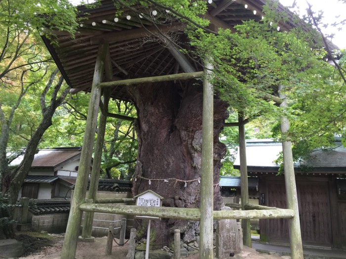 第82番 根香寺
