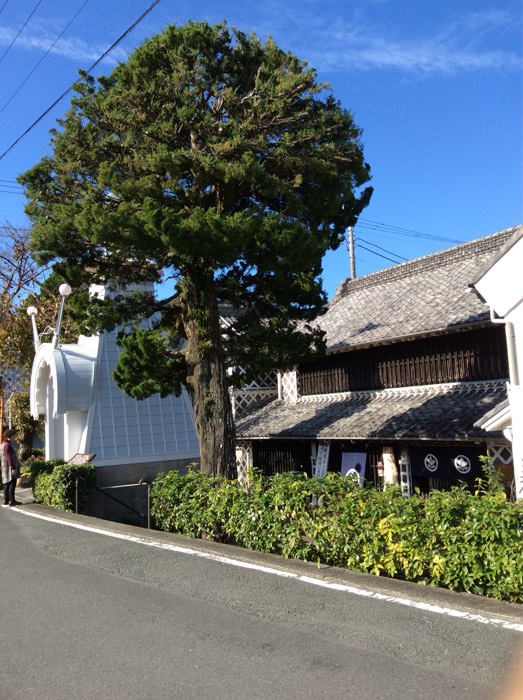 中瀬邸と時計台