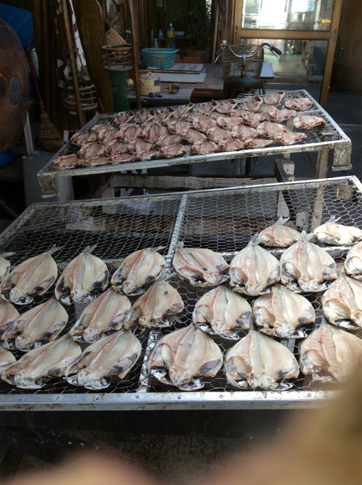 魚を干しています