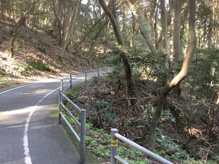 まだ 500mぐらいかなー