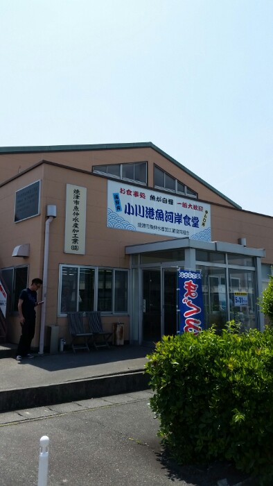 小川港魚河岸食堂