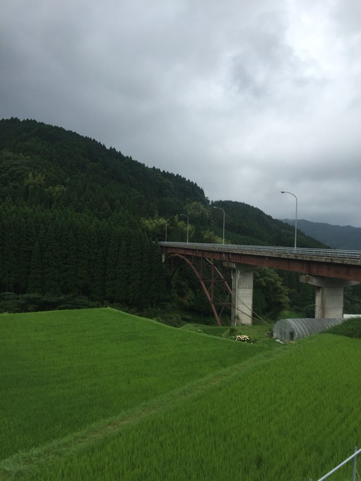 唐津の山の中