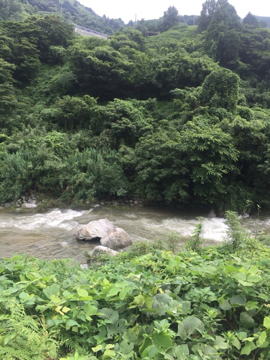 鮎釣出来るみたい