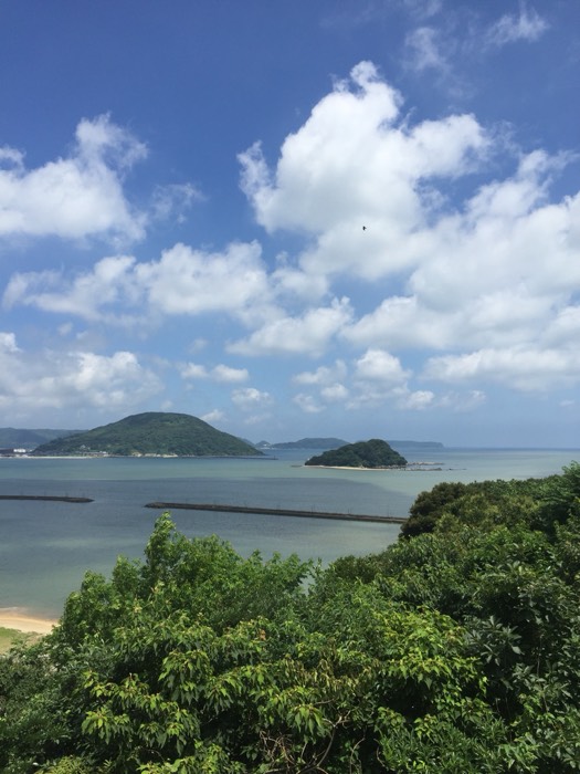 どこかな