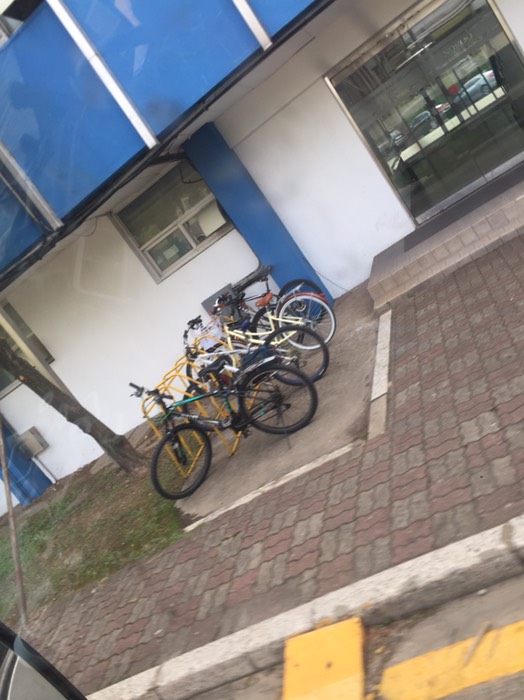노루표