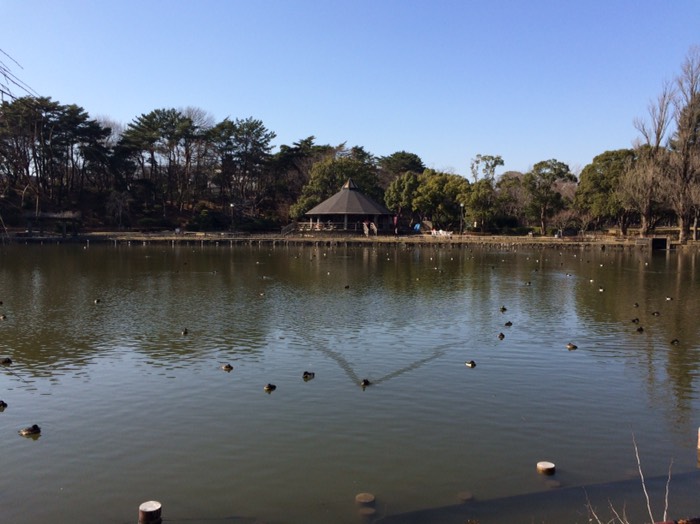 千葉公園2